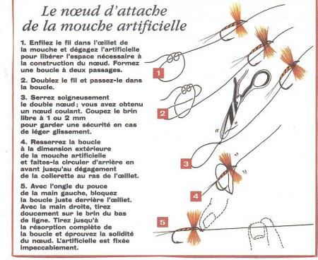 noeud pour la mouche